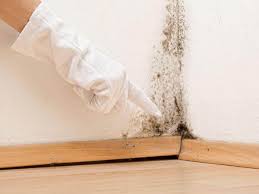 Best Residential Mold Inspection & Testing  in USA